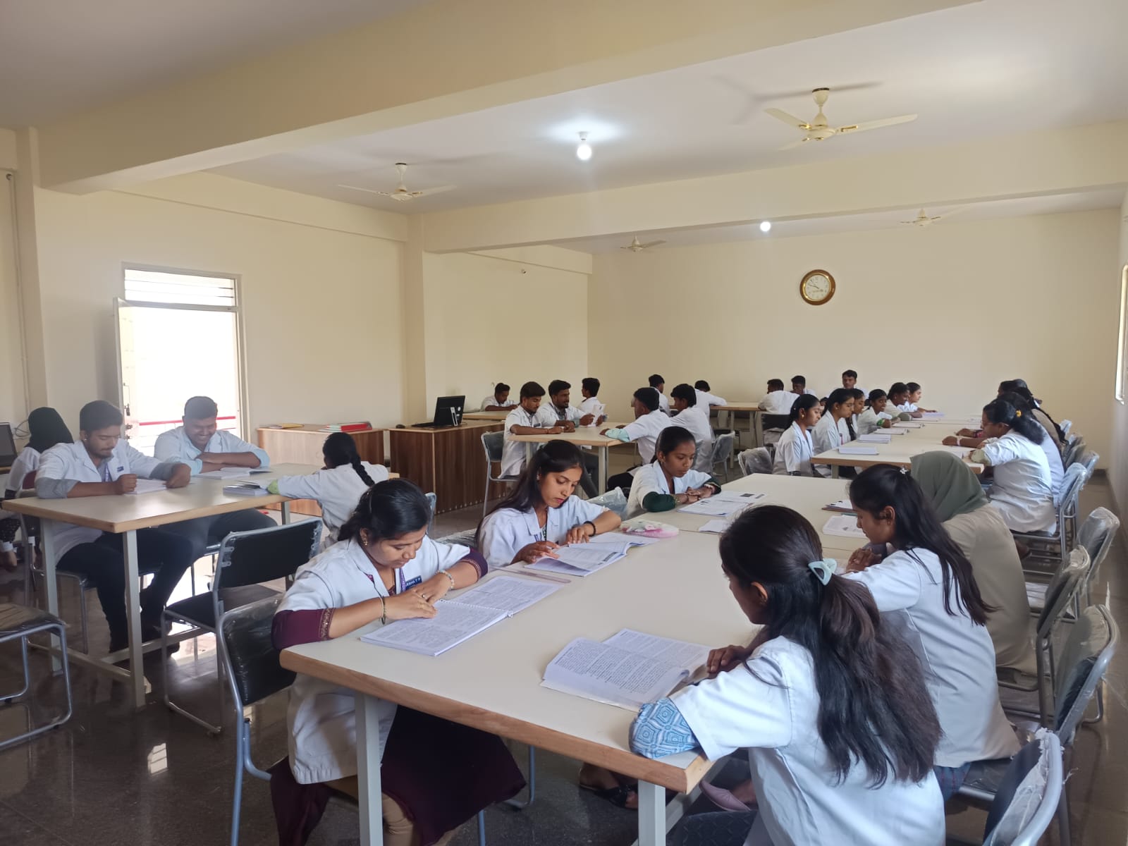 Study Area